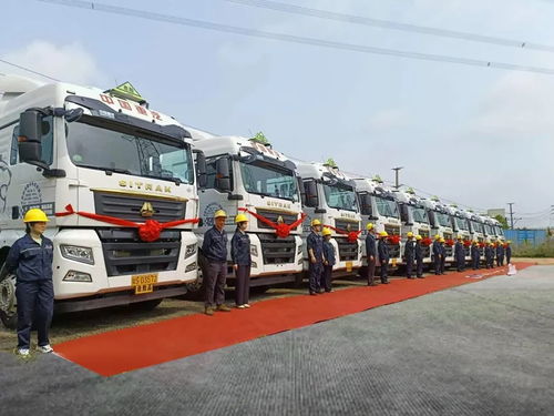 交付50辆 汕德卡护航东莞危化运输效赢一路动物饲养