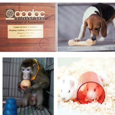 构建协同发展新格局 动物福利在饲料生产与安全性评价研究中的核心地位